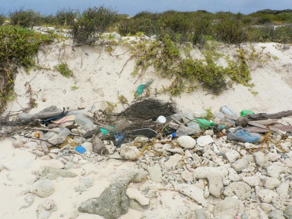 33- Dechets sur la plage 